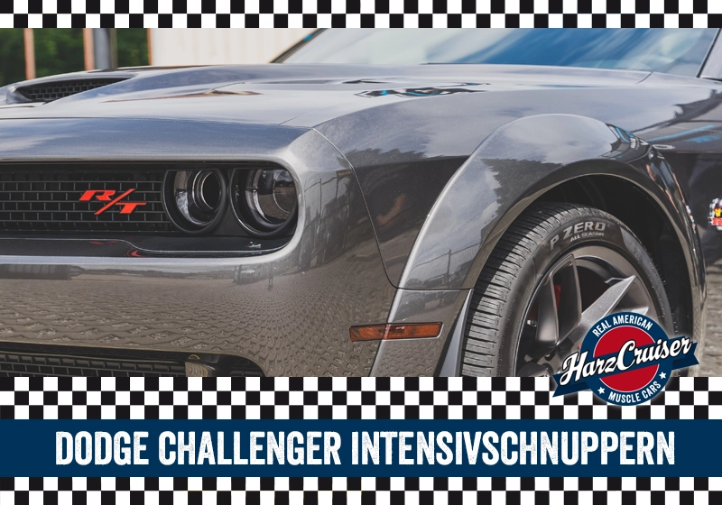  Dodge Challenger Intensiv-Schnuppern - 3 Stunden 